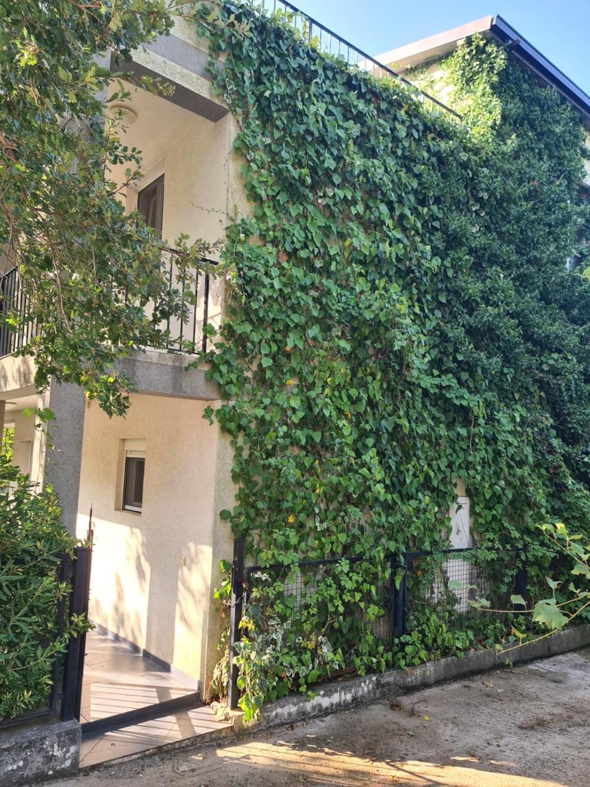 Villa Nadija Čanj 外观 照片